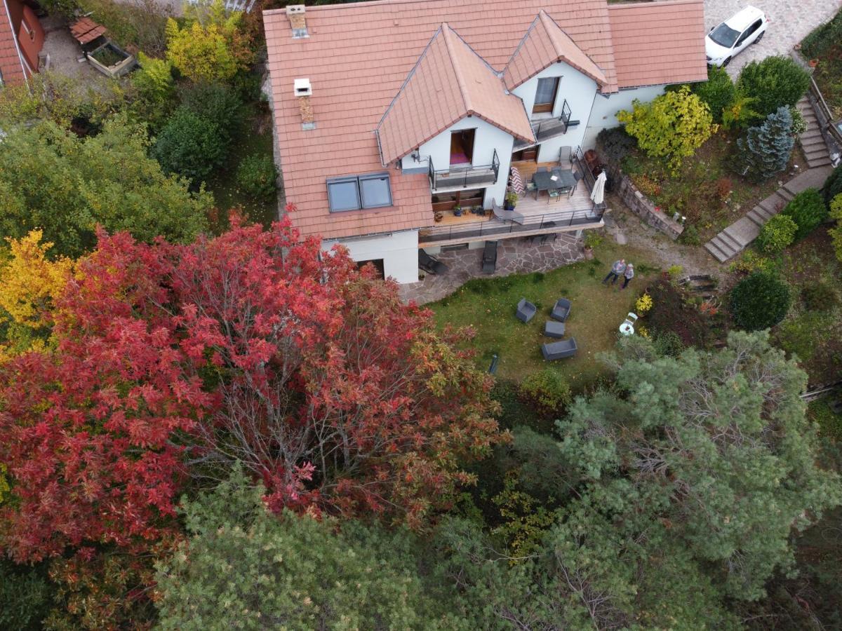 Villa Chene Rouge Lapoutroie Exterior foto
